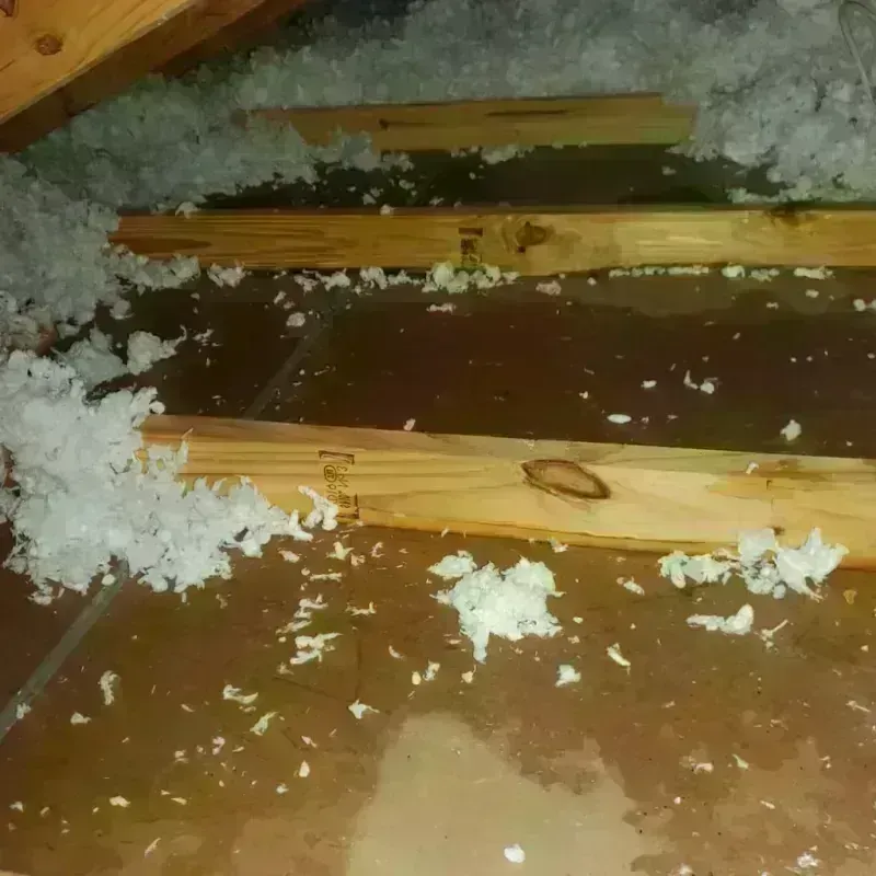 Attic Water Damage in Muskegon County, MI