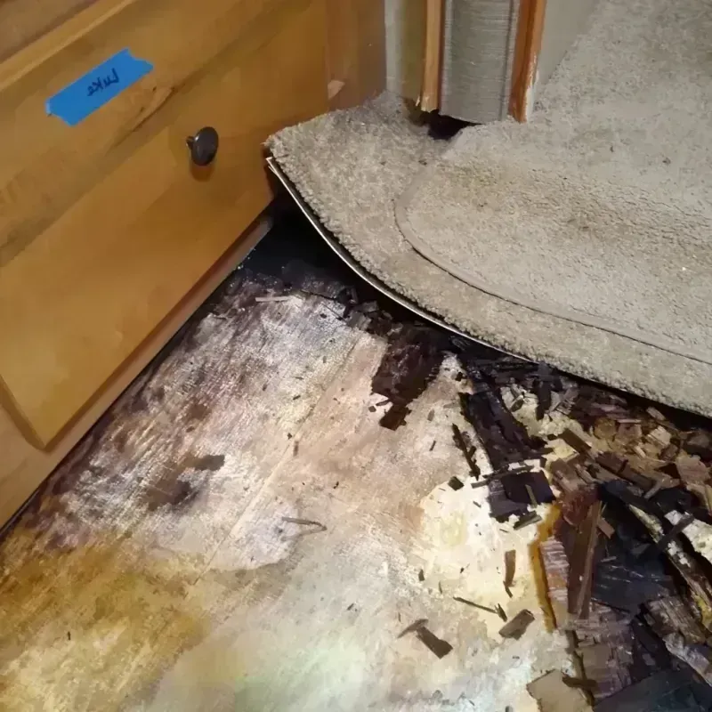 Wood Floor Water Damage in Muskegon County, MI